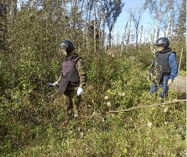 Обследование местности на наличие взрывоопасных предметов